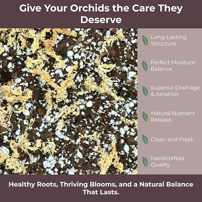 Orchid Potting Mix – Orchid Bark, Sphagnum Moss, Tree Fern & Perlite for Repotting Phalaenopsis Orchids, Indoor Plants, Orchid Soil Medium – Sustrato para Orquídeas (5 Quart)