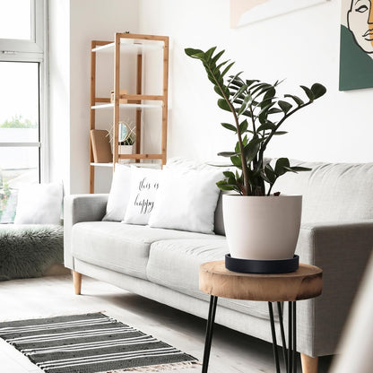 Phoenix Vine 8 Inch Plastic Plant Saucer Water Drip Tray, Heavy Sturdy Round Plant Drainage Tray for Indoors Outdoor, Matte Black, 21-TY-8B-1