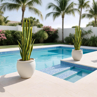 Fake Snake Plant 3ft Tall Faux Sansevieria with 24 Realistic Leaves UV Resistant Potted 2 Pack Fake Mother in Law's Tongue Plants for Indoor Outdoor Home Office Bedroom or Patio Decoration, Yellow