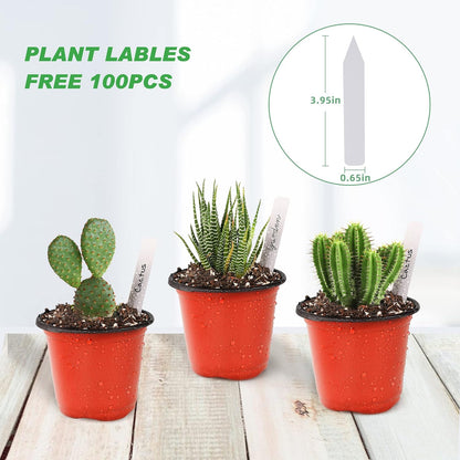 TDHDIKE 4" Small Plastic Plant Nursery Pot/Pots (100pcs) Seedlings Flower Plant Container Seed Starting Pots , Come with 100pcs Plant Labels
