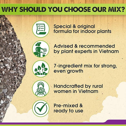 DUSPRO Recycle Pre-Mixed House Plant Potting Mix 7in1 with Potting Soil Indoor Plants, Tropical Indoor Potting Soil with Pine Bark, Pumice, Coco Coir, Perlite, Worm Castings, Gypsum, Peat Moss 1QRT