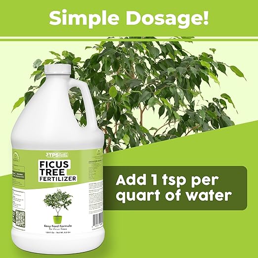 Ficus Tree Fertilizer for All Ficus, Fig and Moraceae Plants, Liquid Plant Food 1 Gallon (128oz)