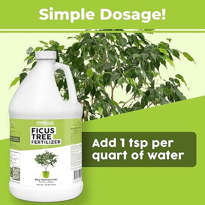 Ficus Tree Fertilizer for All Ficus, Fig and Moraceae Plants, Liquid Plant Food 1 Gallon (128oz)