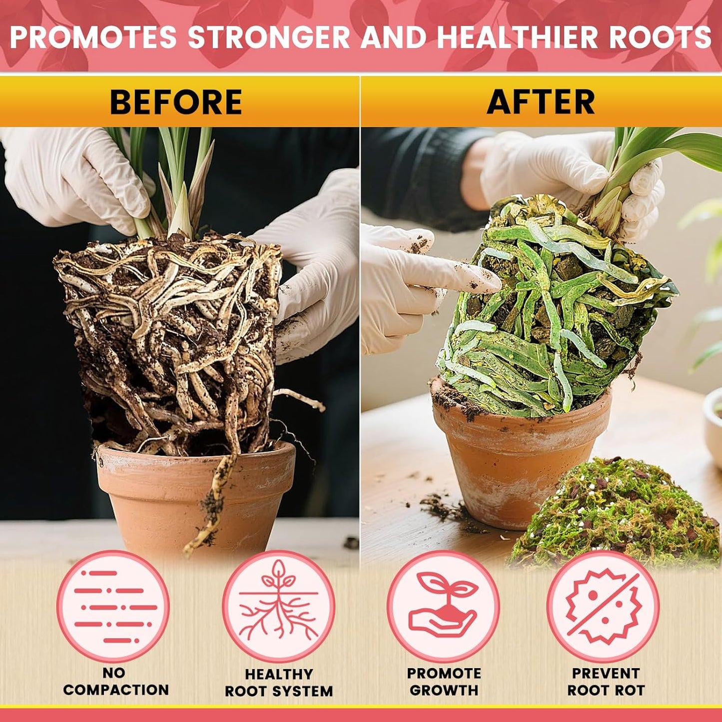 Legigo 1 QT Orchid Potting Mix- Natural Orchid Soil Mix for Repotting with Moss, Pine Bark, Coco Peat and Perlite, Enhanced Drainage Orchid Bark Potting Mix Repotting Kit for Indoor Plant Growth