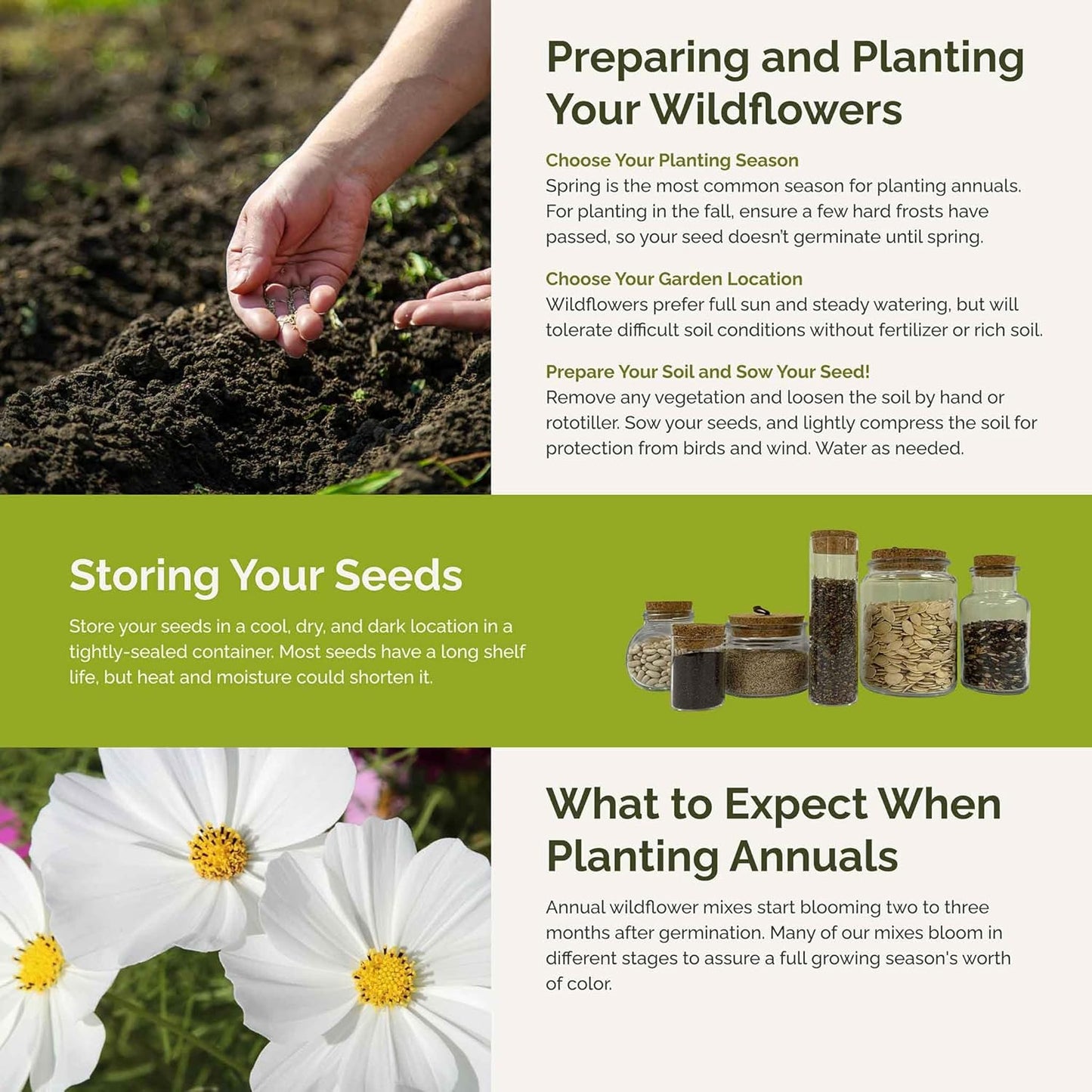 Eden Brothers Moon Garden Flower Mixed Seeds for Planting, 1 oz, 30,000+ Seeds with Cosmos Purity, Bishop's Flower | Attracts Pollinators, Plant in Spring or Fall, Zones 3, 4, 5, 6, 7, 8, 9, 10