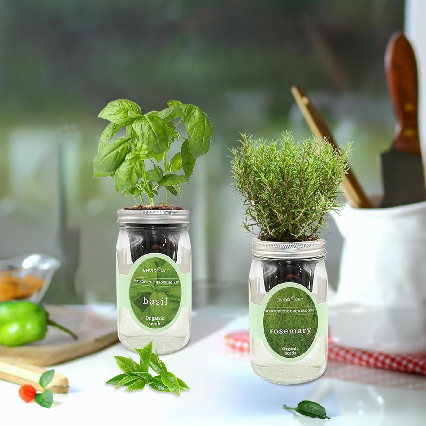 2-Pack Hydroponic Mason Jar Herb Garden Kit, Indoor Herb Garden Self-Watering Starter Kit (Basil,Rosemary)