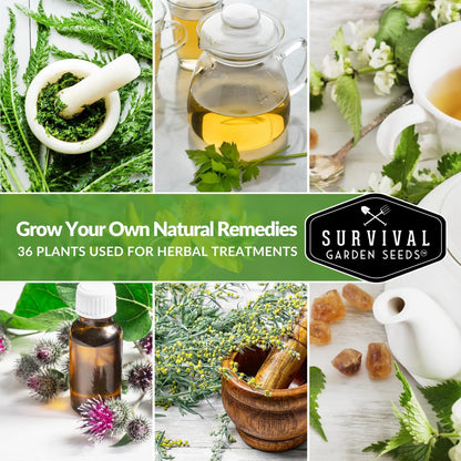 Ultimate Medicinal Herb Seeds Variety Pack – 36 Heirloom Varieties, 28,000+ Lavender, Calendula, Echinacea, Peppermint, Yarrow – Non-GMO Garden Kit by Survival Garden Seeds