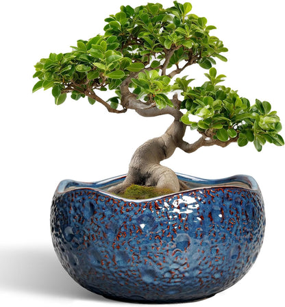 Bonsai Pots - 13 Inch Large Ceramic Planter for Indoor Outdoor, Round Decorative Plant Pots with Drainage Hole, Modern Unique Flower Pots, Patio Decor, Housewarming Gifts, Retro Blue