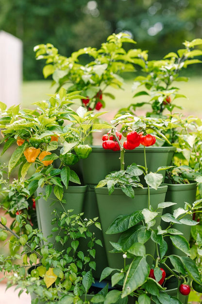 Greenstalk Patented Large 5 Tier Vertical Garden Planter with Patented Internal Watering System Great for Growing a Variety of Strawberries, Vegetables, Herbs, & Flowers (Evergreen)