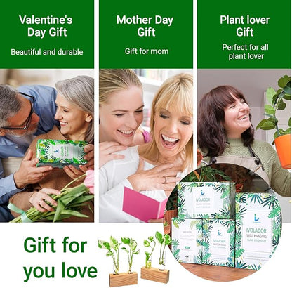 Propagation Station, Plants Terrarium, Plants Lover Gifts for Women,Plant Cutting Holder Home décor,Gifts for Women,House Warming New Home-4 Tubes-Beige