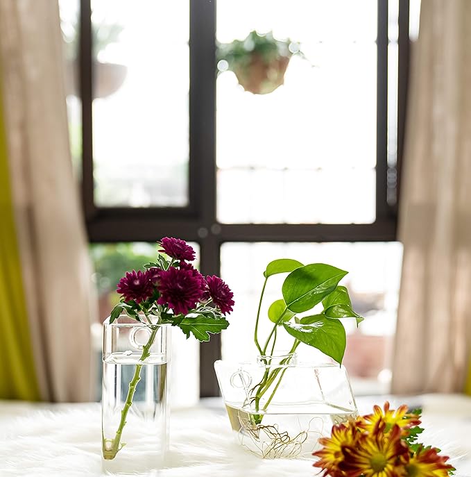 Kingbuy Plant Terrarium Container Propagation Station Square Tube Vase Wall Hanging Glass Planter Indoor Hydroponic Plants Home Office Garden Decor, 2 Pack