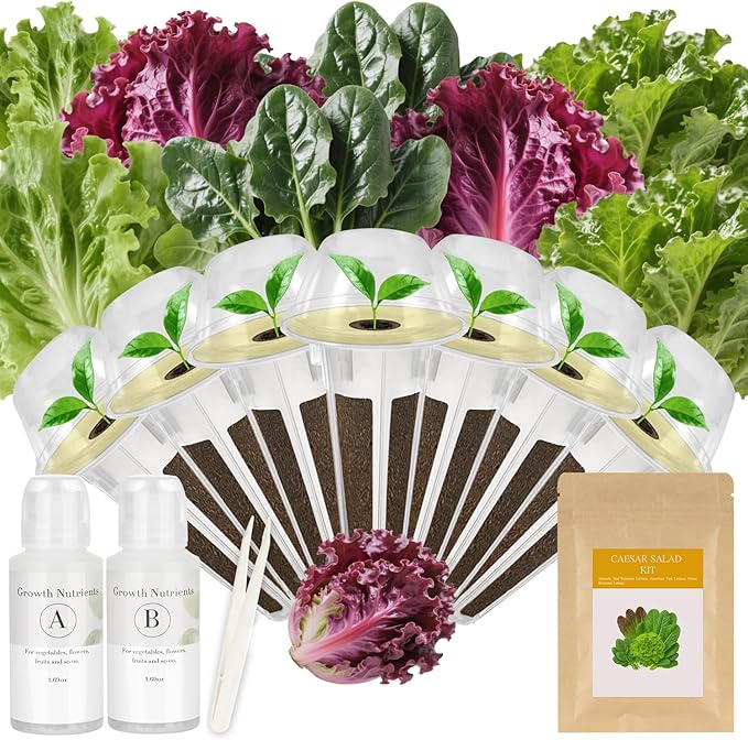 Caesar Salad Seed Pod Kit for AeroGarden, idoo, Ahopegarden, MUFGA with Green Romaine Lettuce, Red Romaine Lettuce, Spinach, and American Fast Lettuce - Compatible with All Garden(7-Pod)