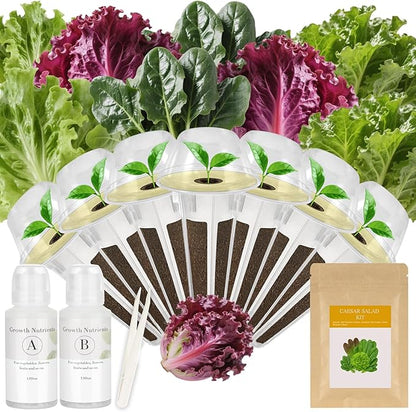 Caesar Salad Seed Pod Kit for AeroGarden, idoo, Ahopegarden, MUFGA with Green Romaine Lettuce, Red Romaine Lettuce, Spinach, and American Fast Lettuce - Compatible with All Garden(7-Pod)