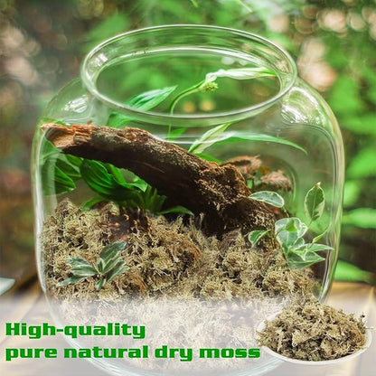 Halatool 4QT Premium Sphagnum Moss for Indoor Plants, Orchid Moss Potting Mix - Natural Sphagnum Moss for Succulents, Carnivorous(Sarracenia), Monstera, Terrarium Substrate & Reptile Habitats