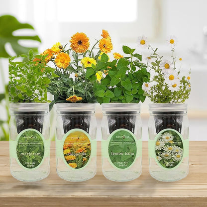 Hydroponic Herb Growing Kit Set, Self-Watering Mason Jar Herb Garden Starter Kit Indoor, Grow 4 Kinds of Herbs from Seeds (Calendula,Chamomile,Lemon Balm&Marjoram)