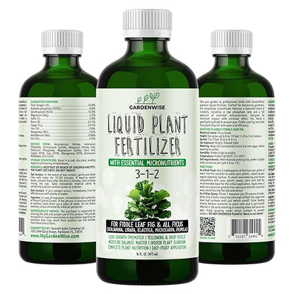 3-1-2 Liquid Fertilizer Concentrate with Micronutrients - Optimal Fiddle Leaf Fig Plant Food, Ideal for Ficus Lyrata & Fig Trees, Gold Leaf Enhanced Indoor Plant Fertilizer (8 OZ)