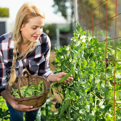DOEWORKS Cucumber Trellis, 48" High Foldable A Frame Garden Trellis, 2 Pack, Plant Support for Climbing Cucumber, Beans, Tomatoes, Flowers, Red