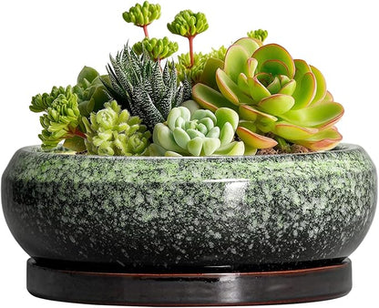 Succulent Pots 6 Inch - Ceramic Bonsai Pots with Drainage Hole and Saucer, Succulent Planters for Indoor Outdoor, Small Shallow Planter, Round Cactus Pot, Room Decor, Plant Lover Gift, Green