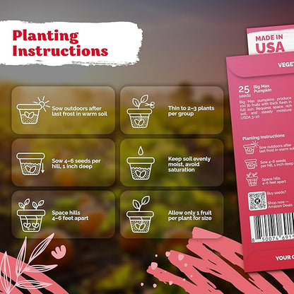 KVITER 25 Big Max Pumpkin Seeds for Planting (Cucurbita Pepo) – Giant Heirloom & Organic Pumpkin Seeds, Up to 100 lbs – Ideal Vegetable Seed Packets for Home Outdoor Garden