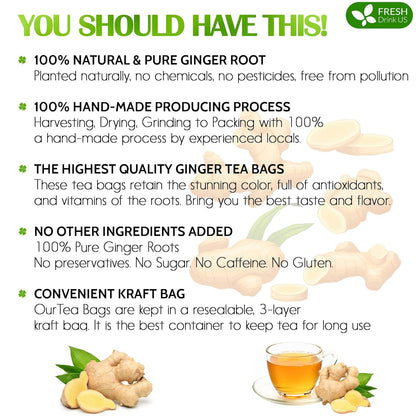 FreshDrinkUS, 150 Premium Ginger Tea Bags, Non GMO, 100% Natural & Pure from Ginger Root, Root Herbal Tea. No Sugar, No Caffeine, No Gluten, Vegan. Support Stronger Digestion, Pleasantly Spicy & Warming