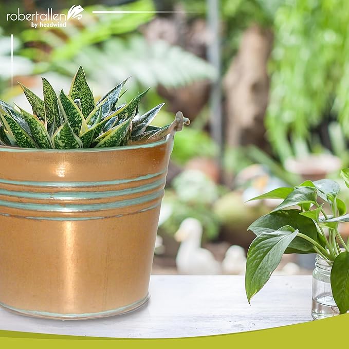 Headwind Vintage Collection - 6 Inch Vintage Copper Banded Planter with Handles – Galvanized Bucket Planter - Decorative Small Planters for Indoor Plants & Outdoor Use by Robert Allen