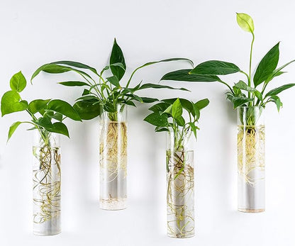 Kingbuy Wall-Mounted Plant Terrarium Propagation Station - 4 Cylinder Hanging Glass Tubes Planter for Hydroponic Plants, Indoor Wall Vases & Decorative Plant Holder Bathroom Office Living Room Decor