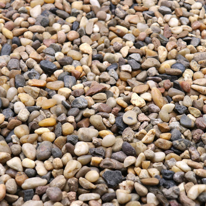 Rocks for Plants. Mixed Color Decorative Pebbles. 1/5 Inch 10 lbs. for Garden, Landscaping, Indoor, Vase fillers, Crafting, Succulents, pots, Plants (Mini, Mixed Color, 10)