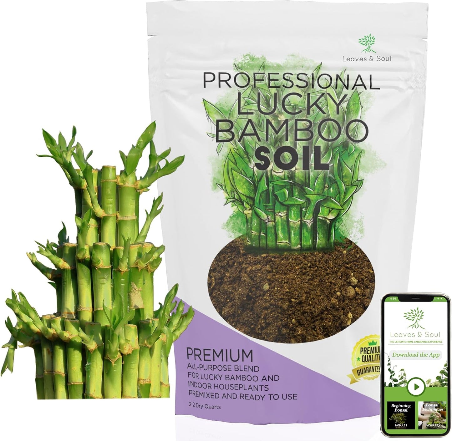 Professional Lucky Bamboo Soil | Large 2.2 Quarts Ready to Use for Lucky Bamboo Plants | Peat Moss, Coco Coir, Perlite, Dolomite | Made in USA