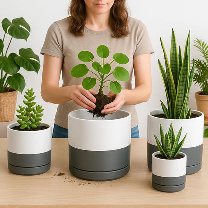 D'vine Dev 6 Inch & 8 Inch & 10 Inch, Set of 3 Round Ceramic Planter Pot with Drainage Hole and Saucer, White/Speckled Grey, 94-T-L-6