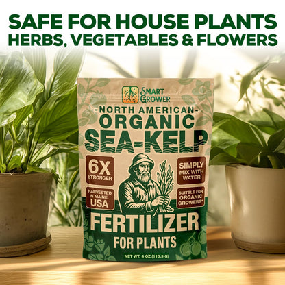 Organic Sea Kelp Fertilizer for Plants – Water-Soluble – Makes 100 Gallons – Kelp Meal Concentrate Plant Food – for Indoor Gardens, Hydroponics, Vegetables, Houseplants - Smart Grower - 4oz Bag
