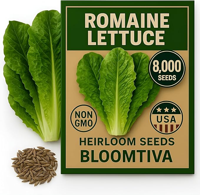 Romaine Lettuce Seeds – Parris Island Cos, 8000+ Heirloom Non-GMO Seeds, High Germination Bulk Pack, Grown in USA – Ideal for Indoor Hydroponic & Outdoor Vegetable Gardens