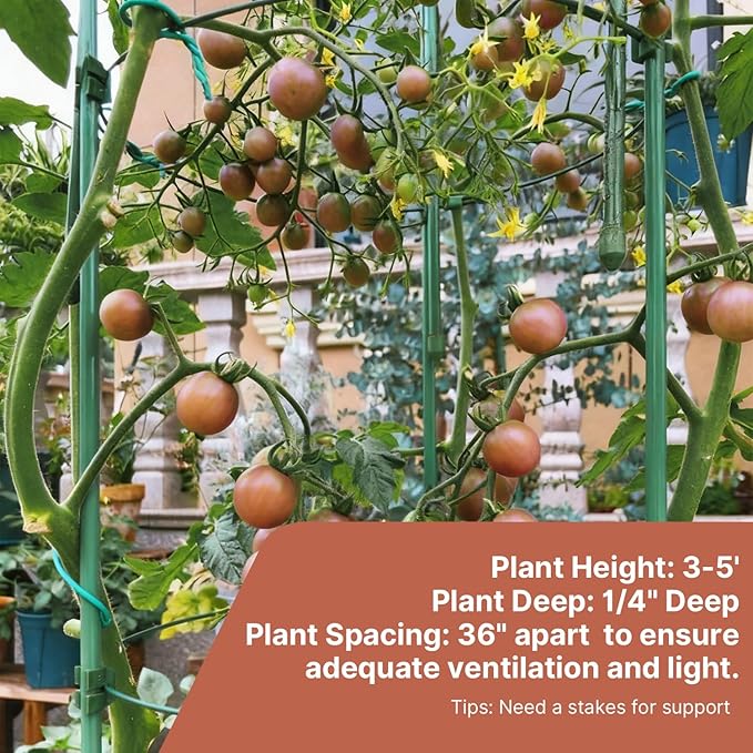 Cherokee Purple Tomato Seeds, Approx 106 Seeds - Non-GMO Heirloom Tomato Vegetable Seeds for Planting Garden Outdoor