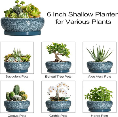 Succulent Pots 6 Inch - Ceramic Bonsai Pots with Drainage Hole and Saucer, Shallow Planters for Indoor Outdoor, Small Bonsai Pot, Round Planter Bowl, Porch Room Decor, Plant Lover Gift, Blue