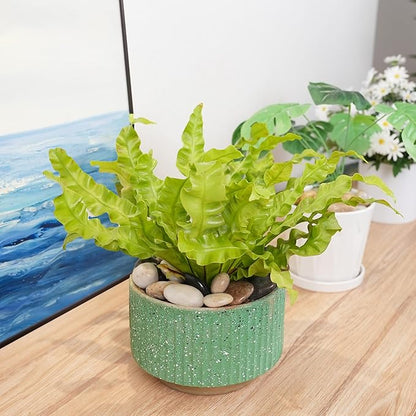 StoneCreek 12 LBS River Rocks, Large Size, Decorative Garden Stones for Plant Landscaping, Polished Gravel Filler Pebbles for Home Decoration, Vases, Succulents(Mixed Pebbles)