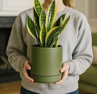 D'vine Dev Set of 2 Plants Pots, 6.5 Inch Ceramic Planter Pot for Plants with Drainage Hole and Saucer, Olive, 94-V-C-J