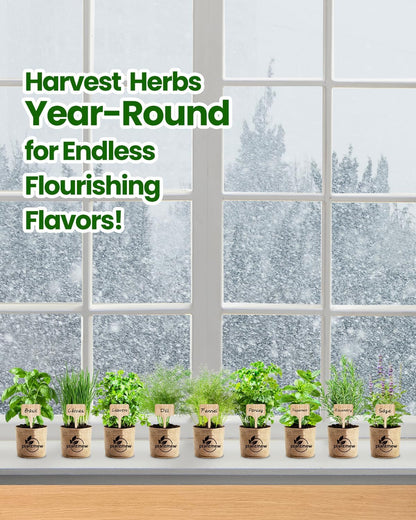 9 Herb Indoor Garden Kit - Unique Kitchen Gift for Women, Men, Mom, Friends - Complete Starter Set with Pots, Soil & Tools - Perfect for Windowsill, Countertop, Home Gardening