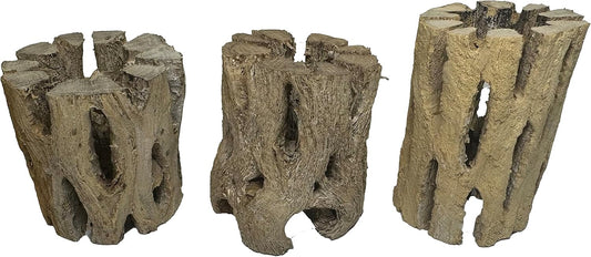 3 Natural Cholla Wood Air Plant Display Holders 2 inch Individually Unique Round Decorative Stands