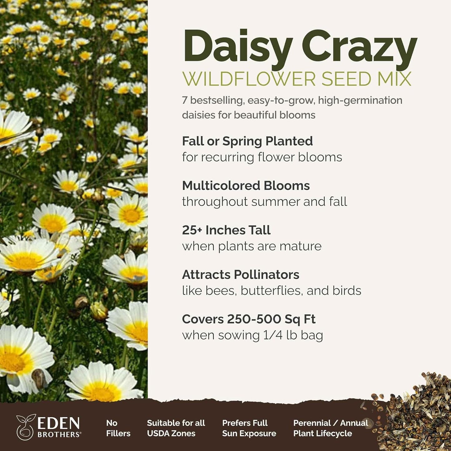 Eden Brothers Daisy Crazy Flower Mixed Seeds for Planting, 1/4 lb, 120,000+ Seeds with Creeping, Painted, Yellow Daisy | Attracts Pollinators, Plant in Spring or Fall, Zones 3, 4, 5, 6, 7, 8, 9, 10