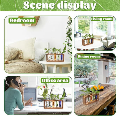 Glass Plant Propagation Station with 5 Test Tubes Colorful Planter Vase Birthday Gifts for Women in Wooden Stand