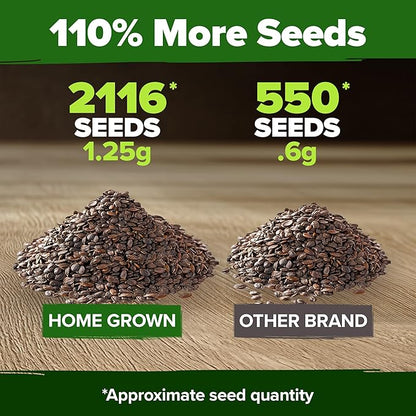 HOME GROWN 𝗨𝗦𝗔 𝗣𝗥𝗘𝗠𝗜𝗨𝗠 Catnip Seeds (Bulk Pack) 𝗡𝗢𝗡-𝗚𝗠𝗢 Heirloom Herb 2,116 Seeds - Indoor or Outdoor Seed - High-Germination Cat Nip - Cat Safe Plants (Nepeta cataria)