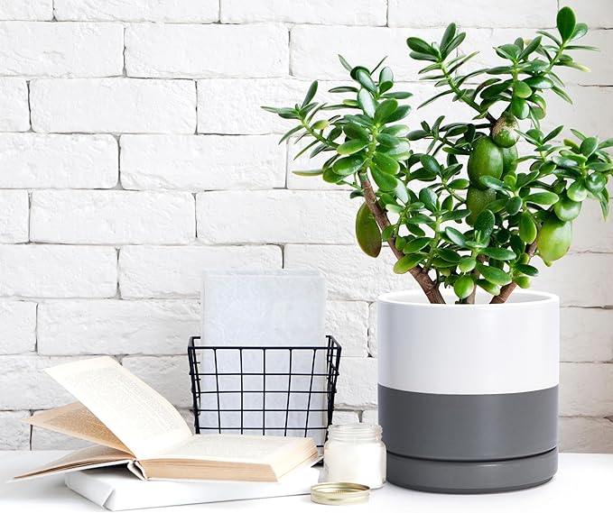 D'vine Dev 6.5 Inch Ceramic Planter Pot with Drainage Hole and Saucer, Indoor Cylinder Round Flower Pot, White/Speckled Grey, 94-O-C-6