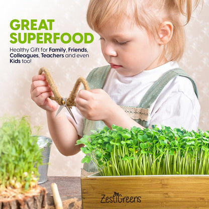 Self-Watering Microgreens Growing Kit – Easiest Way to Grow Fresh Microgreens at Home. Includes Reusable Tray, Organic Seeds, Grow Mats & Stylish Bamboo Frame – No Soil, No Mess (Salad & Broccoli)