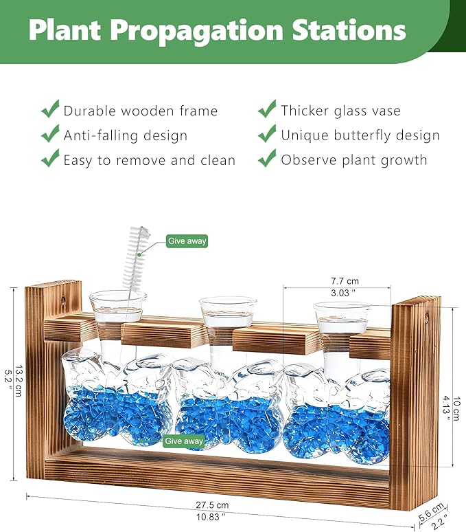 Nacome Butterfly Vase Propagation Stations: Glass Plant Terrarium with Wooden Stand for Home Office Desk Decor, Unique Gifts for Plant Lovers Women Mom