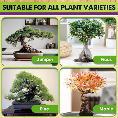 DUSPRO Recycle Premium Bonsai Soil Mix Ready to Use Pre-Mixed 5in1 with Akadama, Pumice, Vermiculite, and Peat Moss Professional Bonsai Potting Soil Mix 4 Qrt