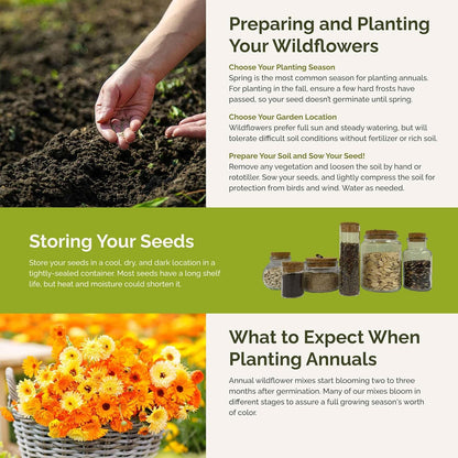 Eden Brothers Orange You Glad Flower Mixed Seeds for Planting, 5 lb, 2,400,000+ Seeds with Dahlia, Double Strawflower | Attracts Pollinators, Plant in Spring or Fall, Zones 3, 4, 5, 6, 7, 8, 9, 10