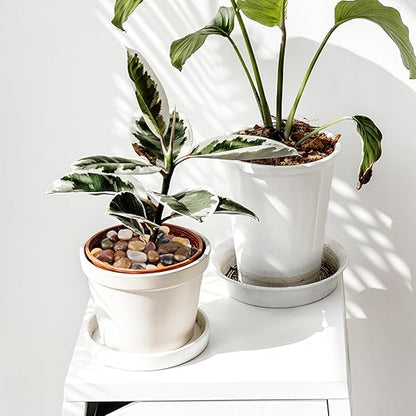 River Rocks 20lbs, 1-2Inch Mixed Color Natural Pebbles for Plants, High Polished Decorative Stones for Aquarium Vase Filler Fish Tank Landscaping Garden