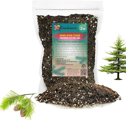Gardenera Premium Himalayan Cedar Potting Soil Mix - Perfect Balance of Nutrients, Drainage, and Aeration for Healthy Cedar Trees - 2 Quart