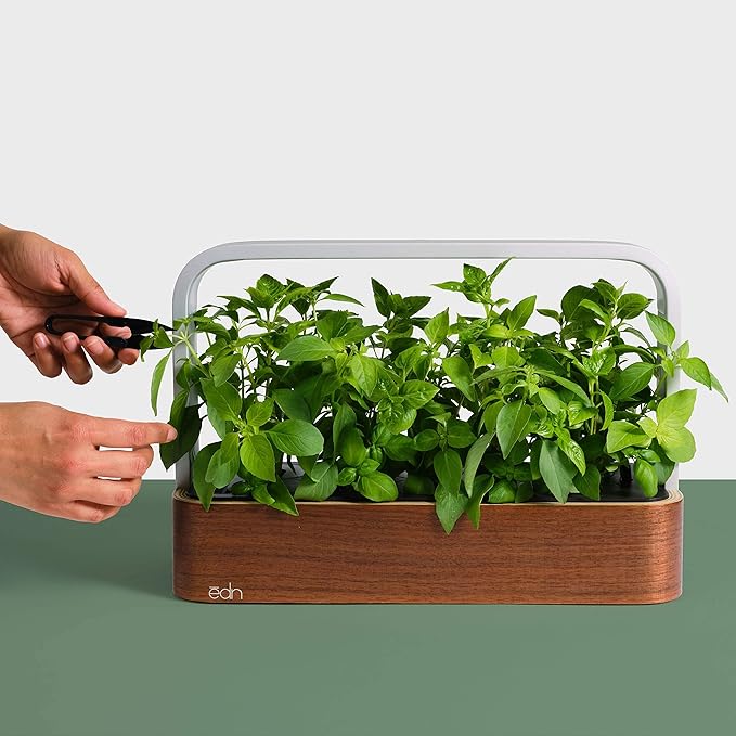 EDN SmallGarden with Basil SeedPods, Indoor Grow Smart Garden for iOS Devices - Fresh Home Grown Herbs, Plants and Flowers - Grow up to 10 Different Plants at Once