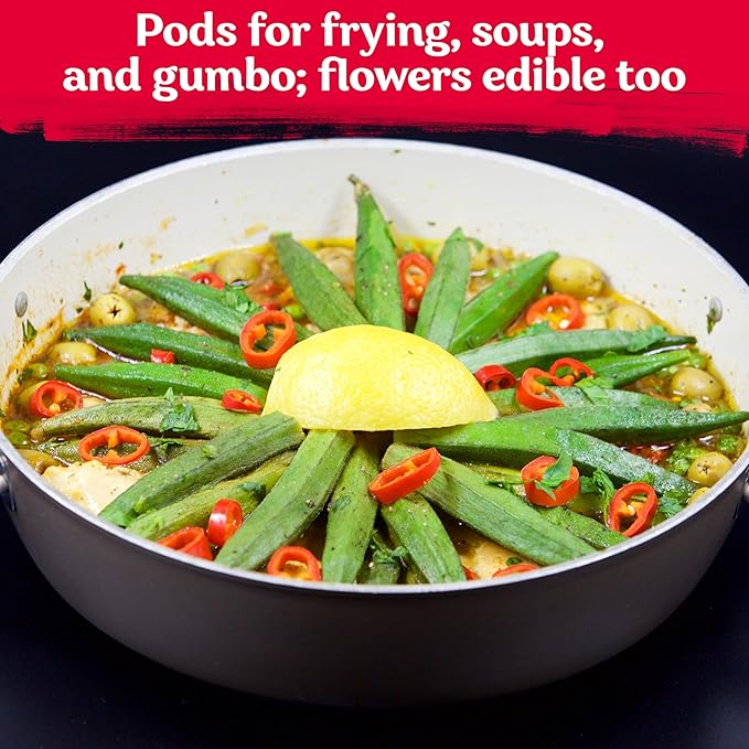 KVITER 125 Clemson Spineless 80 Okra Seeds for Planting (Abelmoschus esculentus) – Heirloom & Organic Okra, Spineless Pods, Heavy Yields – Vegetable Seeds to Plant in Outdoor Garden