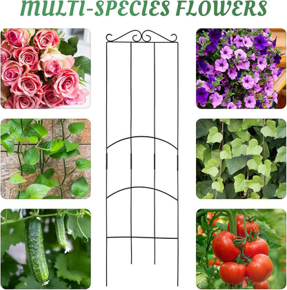 4 Pack 32'' Plant Trellis Indoor - Metal Trellis for Climbing Plants Indoor, Garden Trellis for Climbing Plants Outdoor Houseplants Flowers Vine Ivy, Rectangular Shape, Black